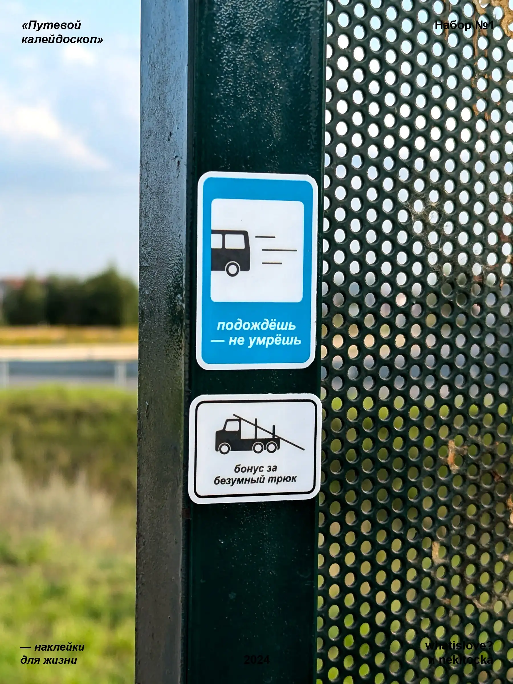 photo_10_2025-11-17_08-46-47